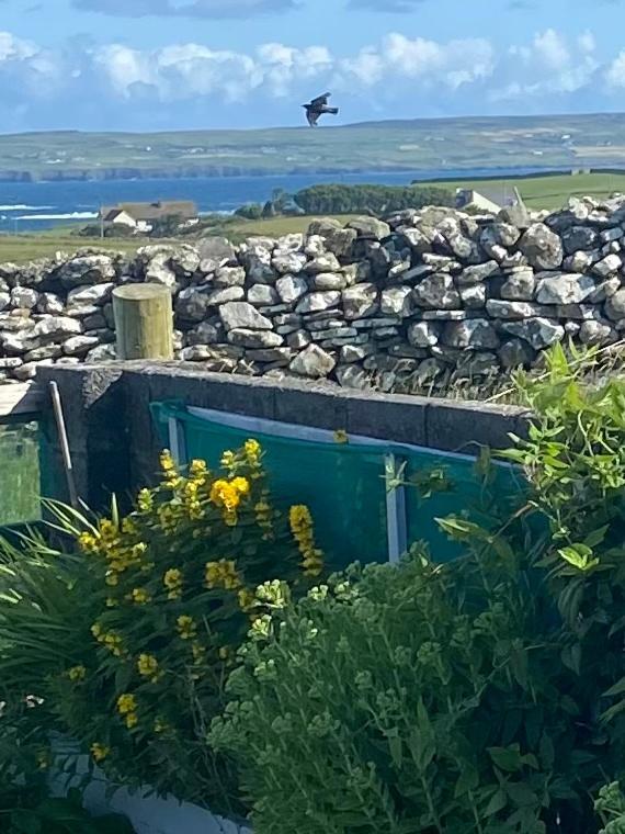 Journey'S End B&B Milltown Malbay Exterior foto