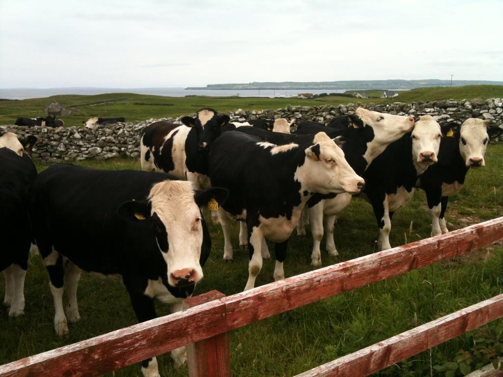 Journey'S End B&B Milltown Malbay Exterior foto